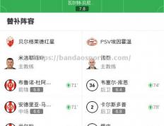 半岛体育-塞尔维亚赛场：贝尔格莱德红星发挥出色，轻松击败对手
