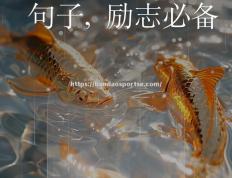 半岛体育-老鹰先发核心状态回暖，助胜森林狼