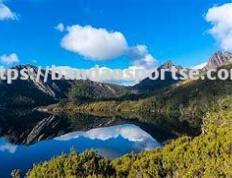 半岛体育-格列洛纳德斯队员被解雇，因为在赛场发生打斗