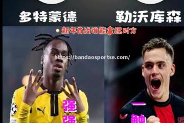 半岛体育-多特蒙德主场告捷，继续稳坐积分榜首位