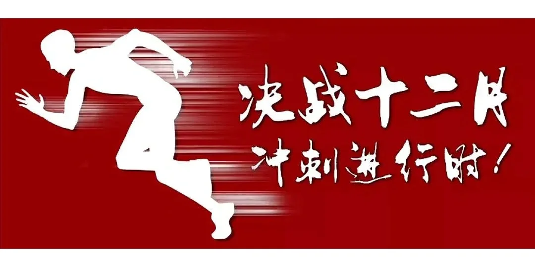 半岛体育-欧预赛胜出队伍：实力强队全力争取冲刺