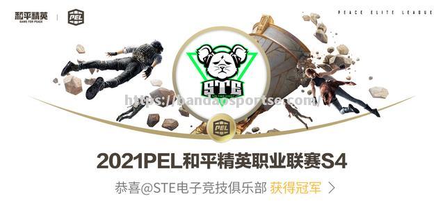 半岛体育-冰岛战胜困难，晋级淘汰赛突围