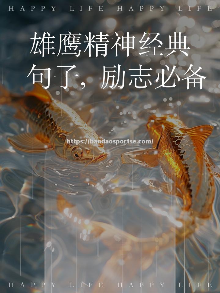 半岛体育-老鹰先发核心状态回暖，助胜森林狼