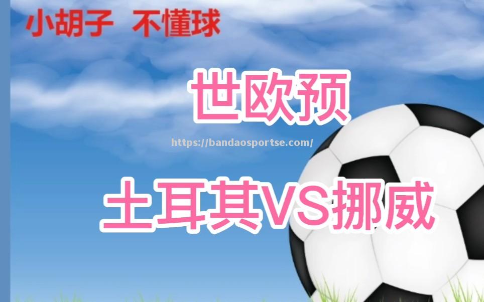 半岛体育-挪威胜土耳其继续冲击晋级，晋级名单揭秘
